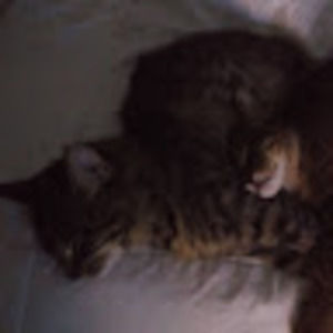 Meet your Posher, Jamie